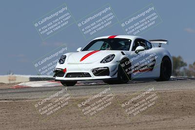 media/Oct-04-2025-OnGrid (Sat) [[44bd565ffa]]/Green Group/Grapevine/